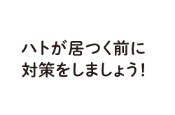 ハトが居つく前に対策しましょう!