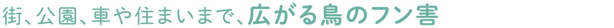 街、公園、車や住まいまで、広がる鳥のフン害！